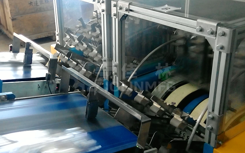 醫(yī)藥行業(yè)軟袋類產(chǎn)品自動(dòng)整列包裝模塊